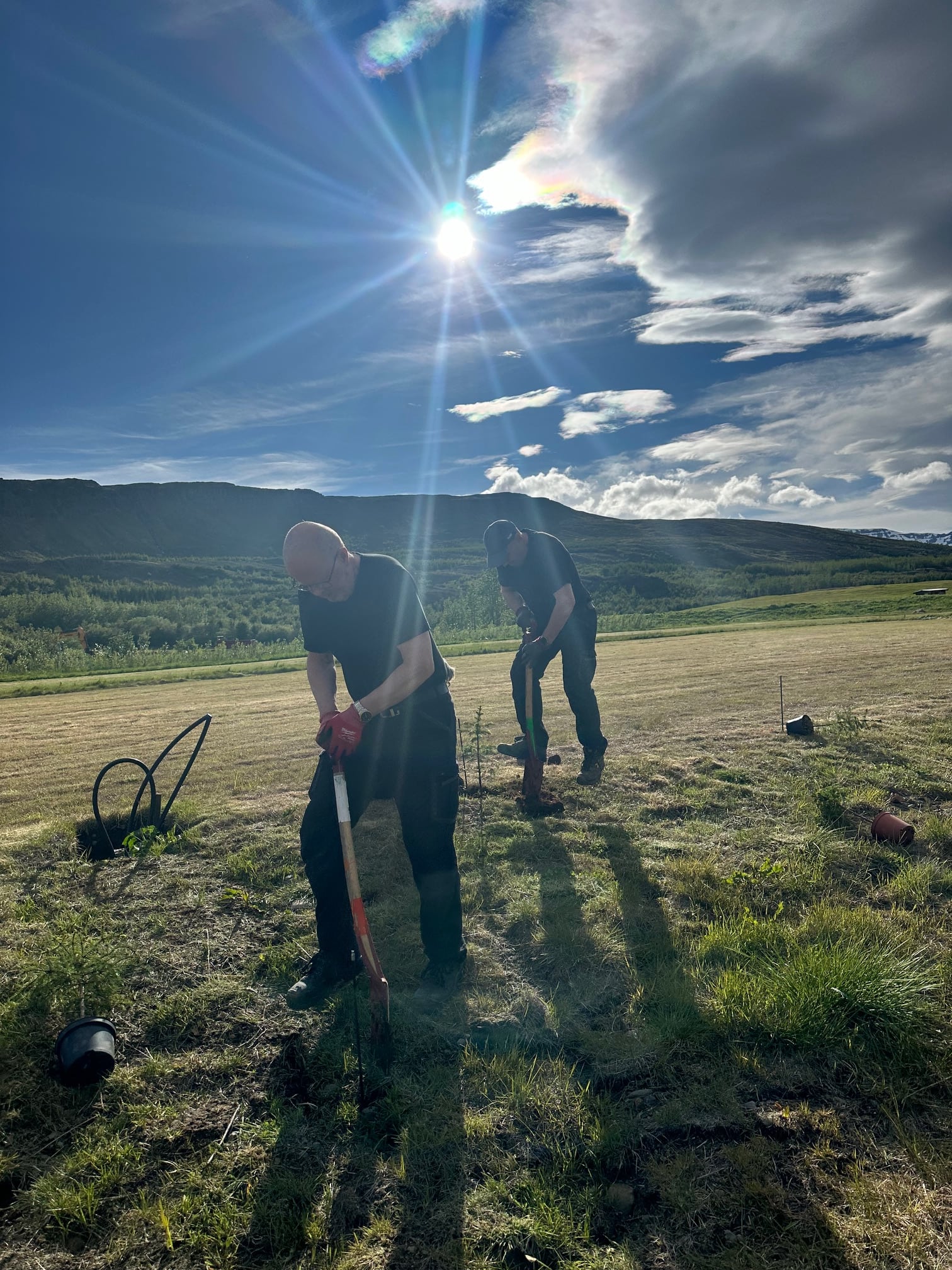 Gróðursetning heldur áfram á Hamrasvæðinu